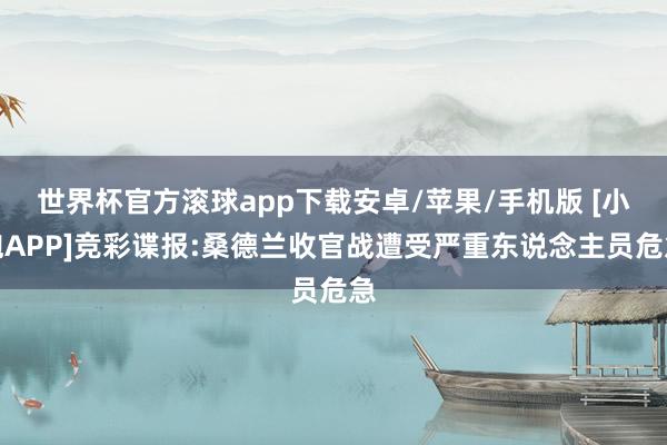 世界杯官方滚球app下载安卓/苹果/手机版 [小炮APP]竞彩谍报:桑德兰收官战遭受严重东说念主员危急