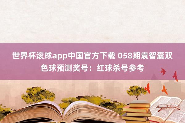 世界杯滚球app中国官方下载 058期袁智囊双色球预测奖号：红球杀号参考