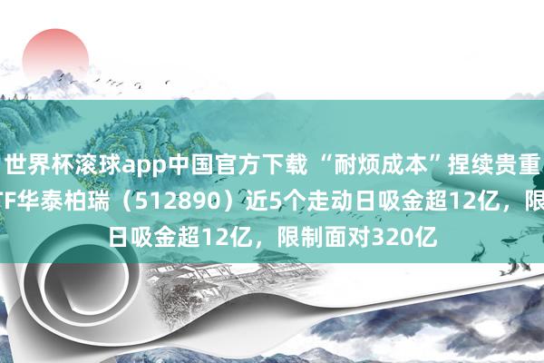 世界杯滚球app中国官方下载 “耐烦成本”捏续贵重！红利低波ETF华泰柏瑞（512890）近5个走动日吸金超12亿，限制面对320亿