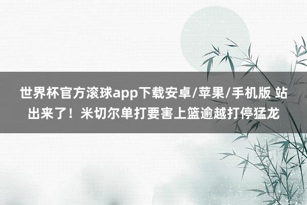 世界杯官方滚球app下载安卓/苹果/手机版 站出来了！米切尔单打要害上篮逾越打停猛龙
