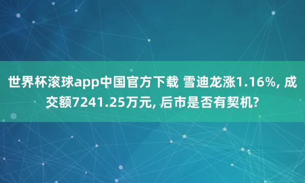 世界杯滚球app中国官方下载 雪迪龙涨1.16%， 成交额7241.25万元， 后市是否有契机?