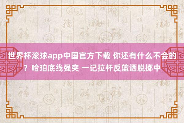 世界杯滚球app中国官方下载 你还有什么不会的？哈珀底线强突 一记拉杆反篮洒脱掷中