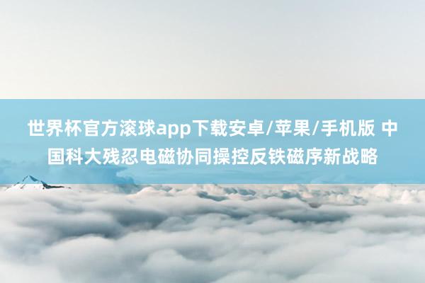 世界杯官方滚球app下载安卓/苹果/手机版 中国科大残忍电磁协同操控反铁磁序新战略