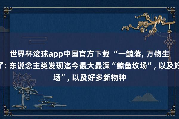 世界杯滚球app中国官方下载 “一鲸落， 万物生”具像化了: 东说念主类发现迄今最大最深“鲸鱼坟场”， 以及好多新物种