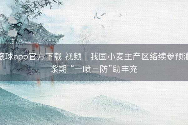 滚球app官方下载 视频|我国小麦主产区络续参预灌浆期 “一喷三防”助丰充
