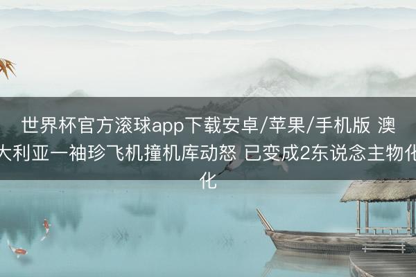 世界杯官方滚球app下载安卓/苹果/手机版 澳大利亚一袖珍飞机撞机库动怒 已变成2东说念主物化