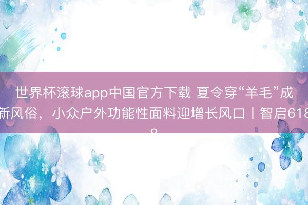 世界杯滚球app中国官方下载 夏令穿“羊毛”成新风俗，小众户外功能性面料迎增长风口丨智启618