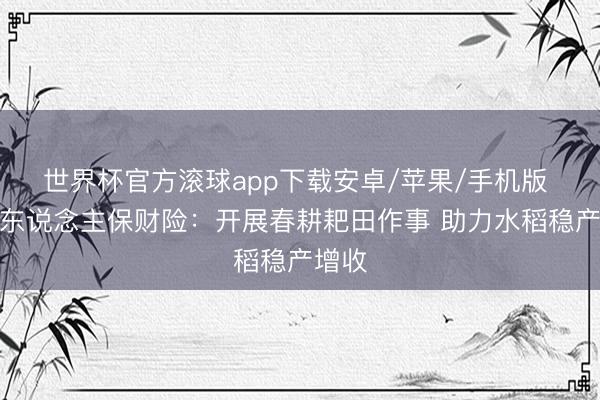 世界杯官方滚球app下载安卓/苹果/手机版 惠州东说念主保财险：开展春耕耙田作事 助力水稻稳产增收