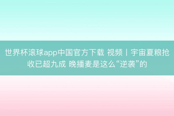 世界杯滚球app中国官方下载 视频丨宇宙夏粮抢收已超九成 晚播麦是这么“逆袭”的