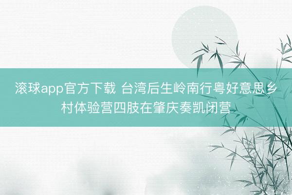 滚球app官方下载 台湾后生岭南行粤好意思乡村体验营四肢在肇庆奏凯闭营