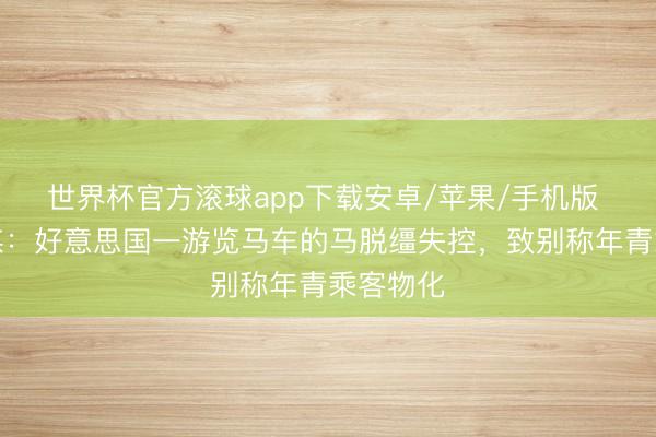 世界杯官方滚球app下载安卓/苹果/手机版 好意思媒：好意思国一游览马车的马脱缰失控，致别称年青乘客物化